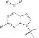 Fig. 187 - Protected monomers