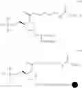 Fig. 202 - Protected monomers