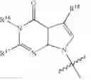 Fig. 33 - Protected monomers