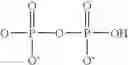 Fig. 81 - Protected monomers