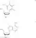 Fig. 88 - Protected monomers