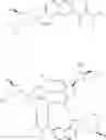 Fig. 96 - Protected monomers