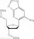 Fig. 97 - Protected monomers