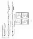 Fig. 06 - Immunostimulatory oligonucleotide multimers