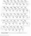 Fig. 01 - POLYMERIC NUCLEOSIDE PRODRUGS