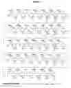 Fig. 02 - POLYMERIC NUCLEOSIDE PRODRUGS