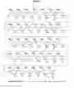 Fig. 03 - POLYMERIC NUCLEOSIDE PRODRUGS