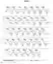Fig. 05 - POLYMERIC NUCLEOSIDE PRODRUGS
