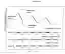 Fig. 11 - POLYMERIC NUCLEOSIDE PRODRUGS