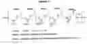 Fig. 12 - POLYMERIC NUCLEOSIDE PRODRUGS