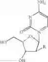 Fig. 16 - POLYMERIC NUCLEOSIDE PRODRUGS