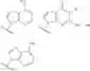 Fig. 04 - Novel 2'-C methyl nucleoside derivatives