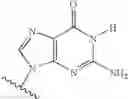 Fig. 06 - Novel 2'-C methyl nucleoside derivatives
