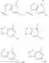 Fig. 09 - Novel 2'-C methyl nucleoside derivatives