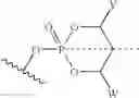 Fig. 10 - Novel 2'-C methyl nucleoside derivatives