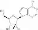 Fig. 161 - Novel 2'-C methyl nucleoside derivatives