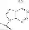 Fig. 20 - Novel 2'-C methyl nucleoside derivatives