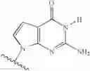 Fig. 22 - Novel 2'-C methyl nucleoside derivatives