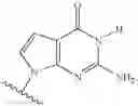 Fig. 28 - Novel 2'-C methyl nucleoside derivatives