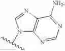 Fig. 30 - Novel 2'-C methyl nucleoside derivatives