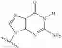 Fig. 34 - Novel 2'-C methyl nucleoside derivatives