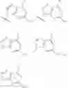 Fig. 46 - Novel 2'-C methyl nucleoside derivatives
