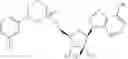 Fig. 48 - Novel 2'-C methyl nucleoside derivatives