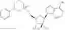 Fig. 49 - Novel 2'-C methyl nucleoside derivatives