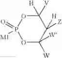Fig. 55 - Novel 2'-C methyl nucleoside derivatives