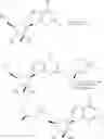 Fig. 63 - Novel 2'-C methyl nucleoside derivatives