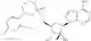 Fig. 93 - Novel 2'-C methyl nucleoside derivatives
