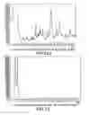 Fig. 08 - Solid and crystalline ibandronate sodium and processes for preparation thereof