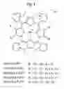 Fig. 05 - Substituted Porphyrins