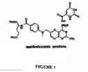 Fig. 02 - Compositions and methods of reducing side effects and toxicity of methotrexate when given as orotate derivatives