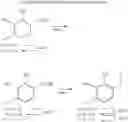 Fig. 67 - Nonnucleoside reverse transcriptase inhibitors
