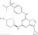 Fig. 146 - Pyrazolopyrimidine compounds and their use in medicine