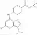 Fig. 171 - Pyrazolopyrimidine compounds and their use in medicine