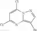 Fig. 45 - Pyrazolopyrimidine compounds and their use in medicine