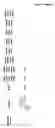 Fig. 27 - Substituted quinazolin-4-one compounds for antagonizing TRPV3 function