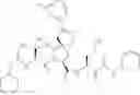 Fig. 196 - Inhibitors of serine proteases