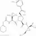 Fig. 241 - Inhibitors of serine proteases