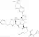 Fig. 247 - Inhibitors of serine proteases