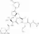 Fig. 330 - Inhibitors of serine proteases