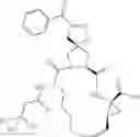 Fig. 417 - Inhibitors of serine proteases