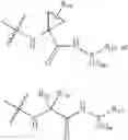 Fig. 42 - Inhibitors of serine proteases