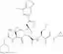 Fig. 467 - Inhibitors of serine proteases