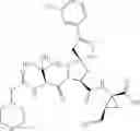 Fig. 481 - Inhibitors of serine proteases