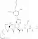 Fig. 503 - Inhibitors of serine proteases