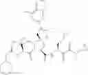 Fig. 596 - Inhibitors of serine proteases