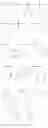 Fig. 904 - Inhibitors of serine proteases